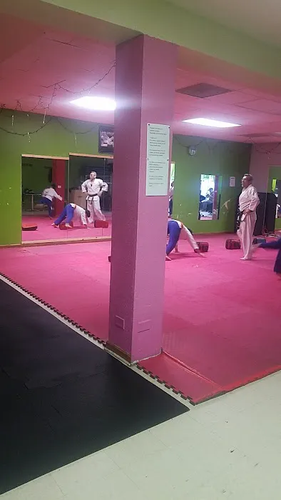 Karate school chicago Picture 1
