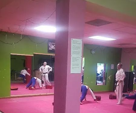 Karate school chicago