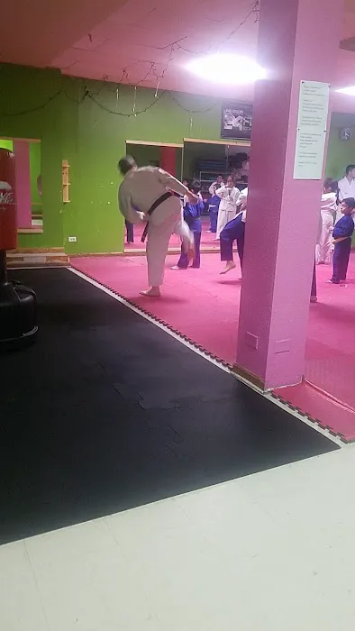 Karate school chicago Picture 2