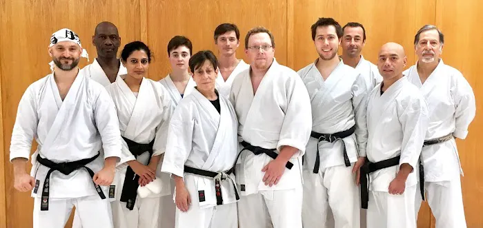 Japan Karate Association of Chicago Sugiyama Dojo Picture 4