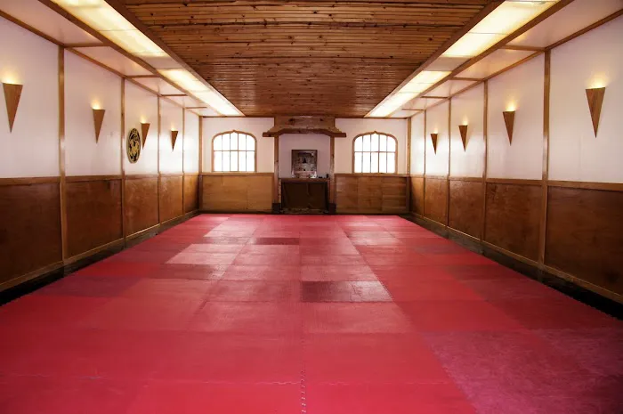 Japan Karate Association of Chicago Sugiyama Dojo Picture 3
