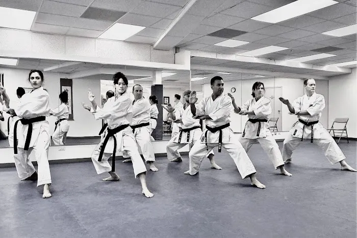 Japan Karate Association of Chicago Sugiyama Dojo Picture 6