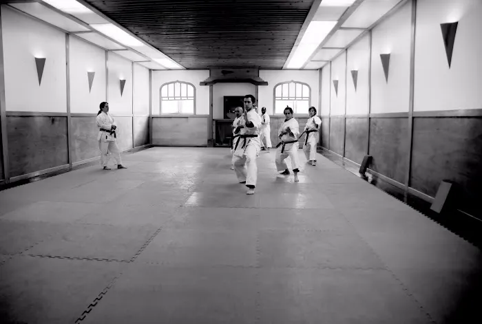 Japan Karate Association of Chicago Sugiyama Dojo Picture 10