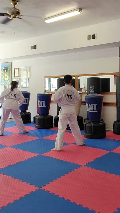School Of Martial Arts Picture 4