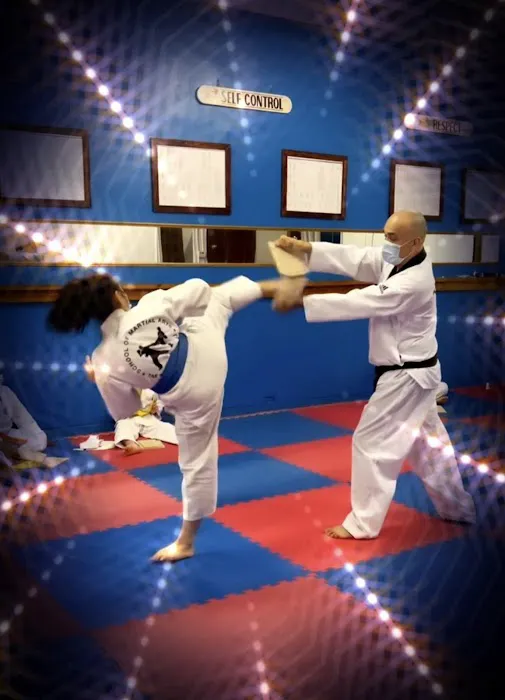 School Of Martial Arts Picture 3