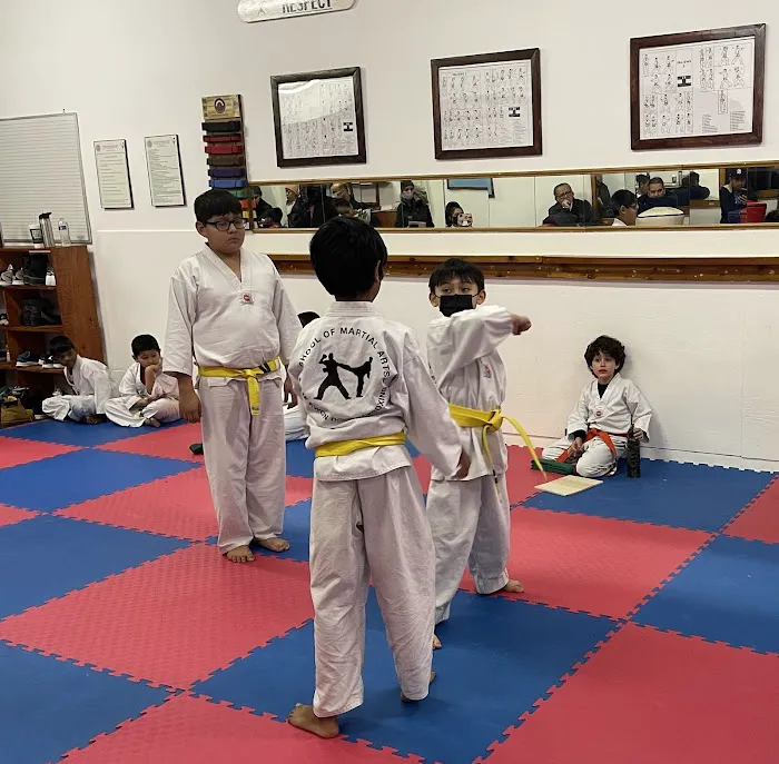 School Of Martial Arts Picture 9