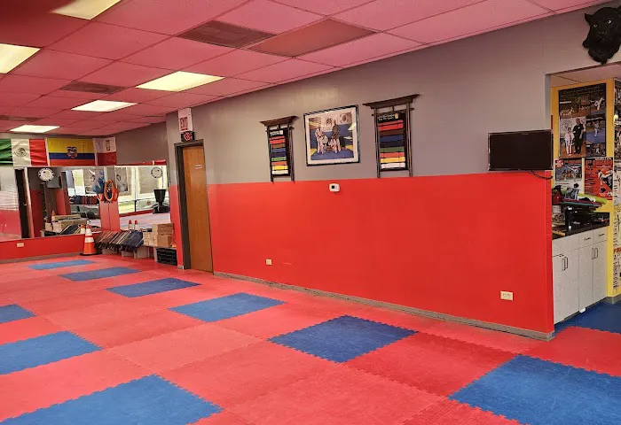 JC-TEAM-Cardenas Taekwondo Academy USA.(Grand Master Jesus Cardenas) Picture 7