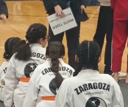 Zaragoza Taekwondo Academy