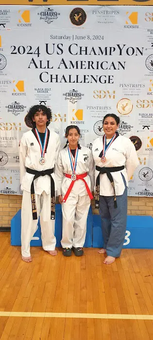Zaragoza Taekwondo Academy Picture 3