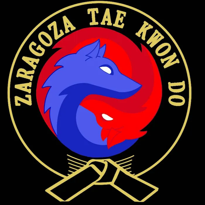 Zaragoza Taekwondo Academy Picture 6