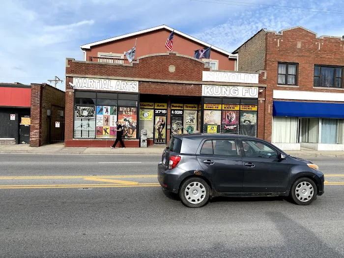 Chicago Tao and the Fut Sao Wing Chun Association Picture 1