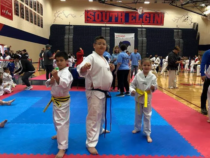 Woori Taekwondo & Hapkido Academy Chicago Picture 9