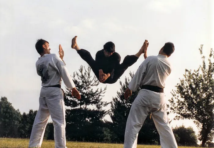 Master S.H. Yu Martial Arts Picture 1