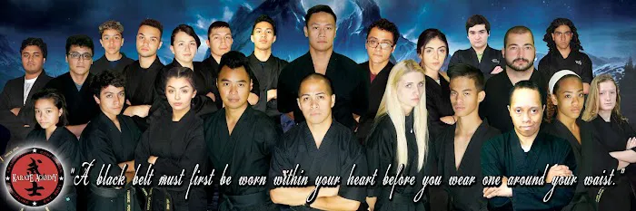 Karate Academy Picture 2