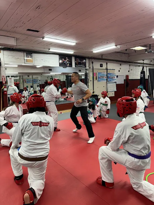 Karate Academy Picture 5