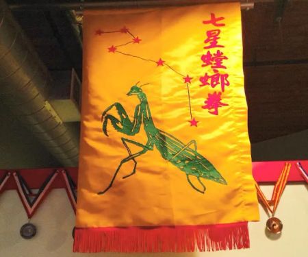 Chinese Martial Arts