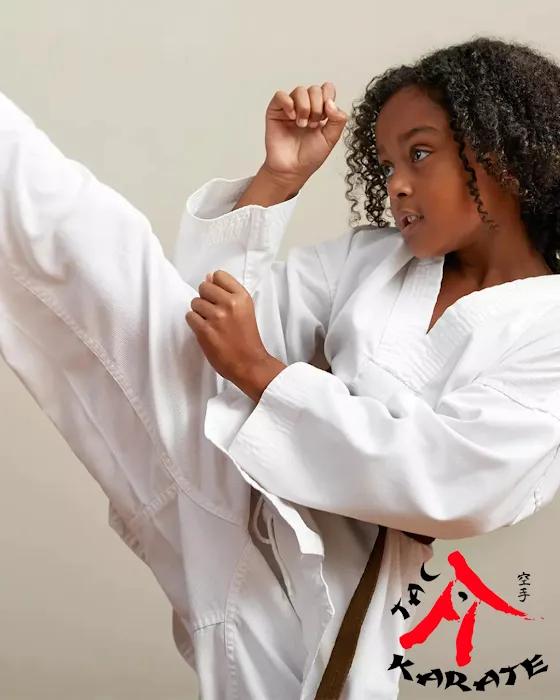 TAC Karate & Fitness Picture 8