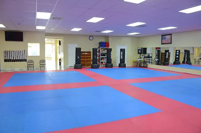 Woori Taekwondo & Hapkido Academy Evergreen Park Picture 3