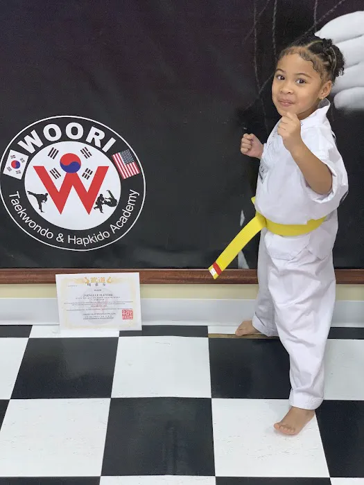 Woori Taekwondo & Hapkido Academy Evergreen Park Picture 7