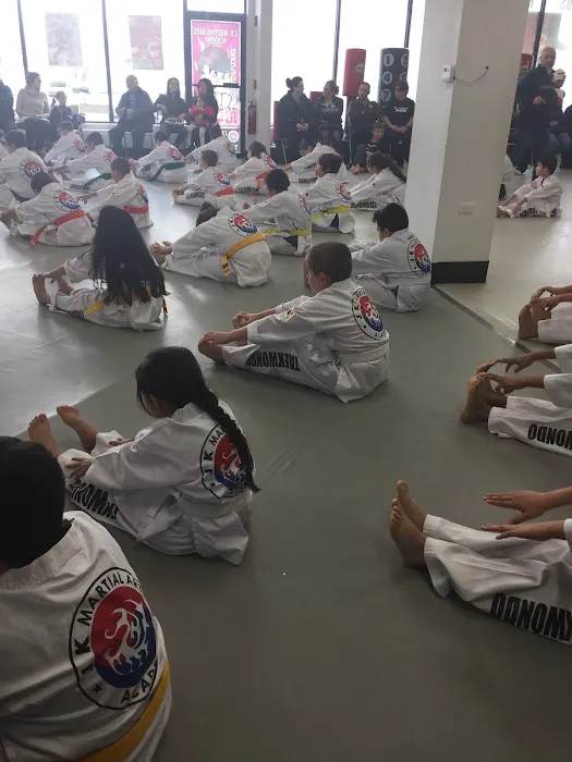J K Martial Arts Academy Picture 1
