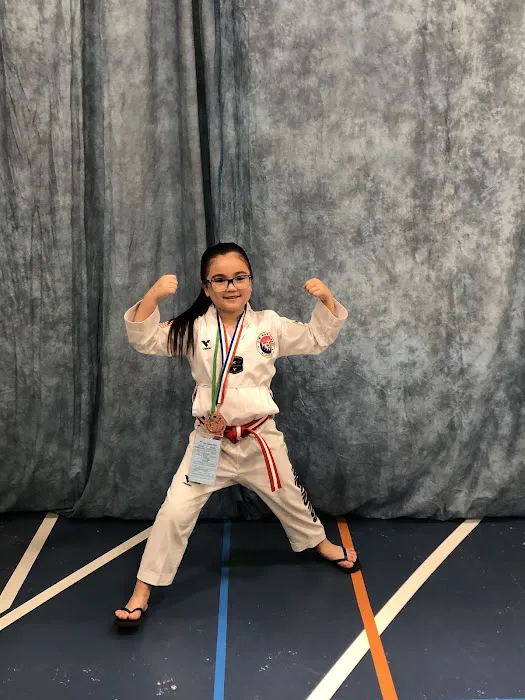 J K Martial Arts Academy Picture 4