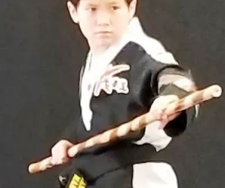 Jang's Yong In Martial Arts (JMA)