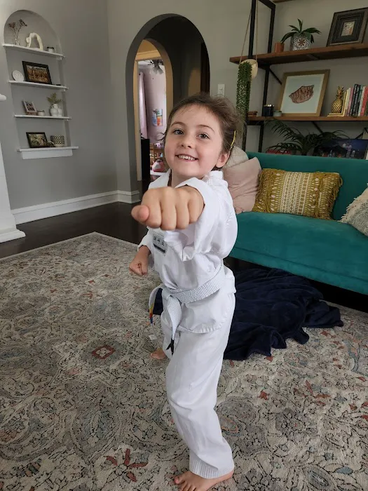 Flying V Martial Arts - La Grange Picture 2