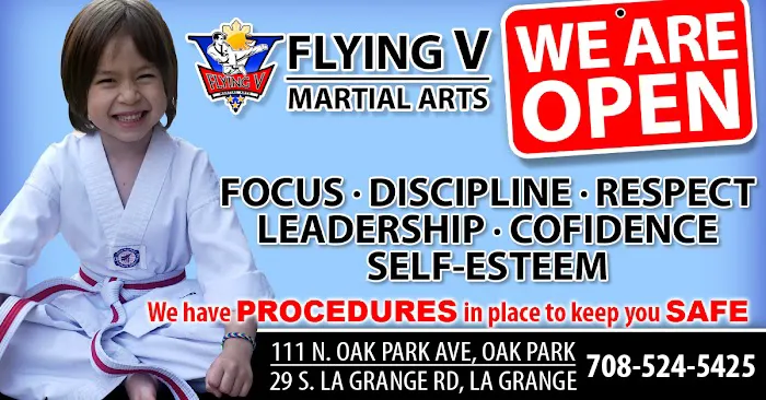 Flying V Martial Arts - La Grange Picture 7