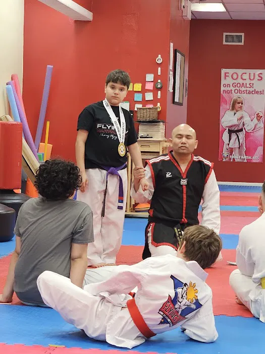 Flying V Martial Arts - La Grange Picture 4