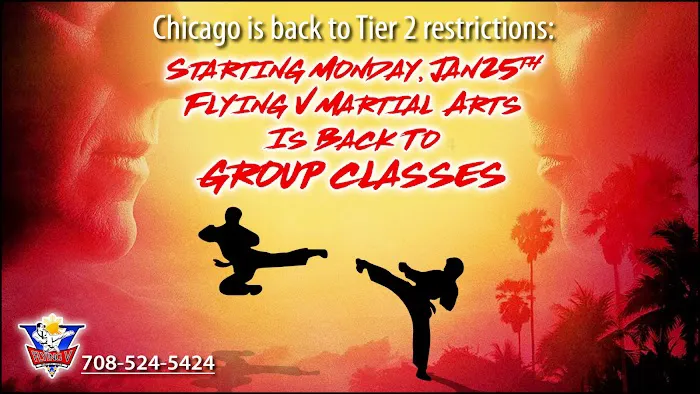 Flying V Martial Arts - La Grange Picture 10