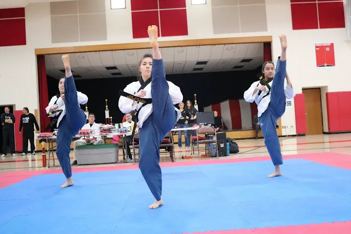 Melrose Park Taekwondo Picture 5
