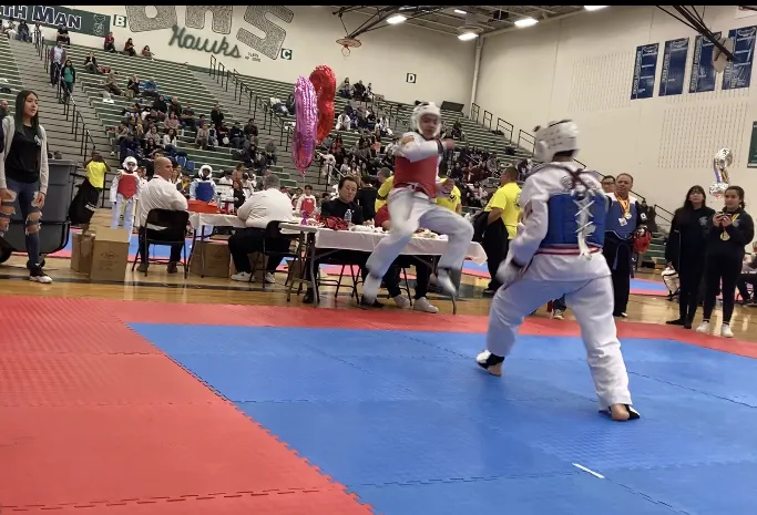 Melrose Park Taekwondo Picture 2