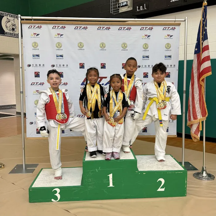 Melrose Park Taekwondo Picture 6