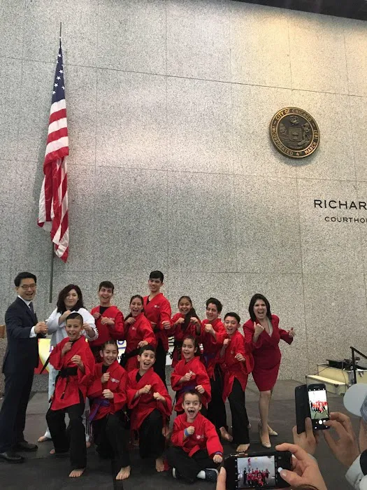 Melrose Park Taekwondo Picture 8