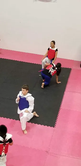 Melrose Park Taekwondo Picture 10