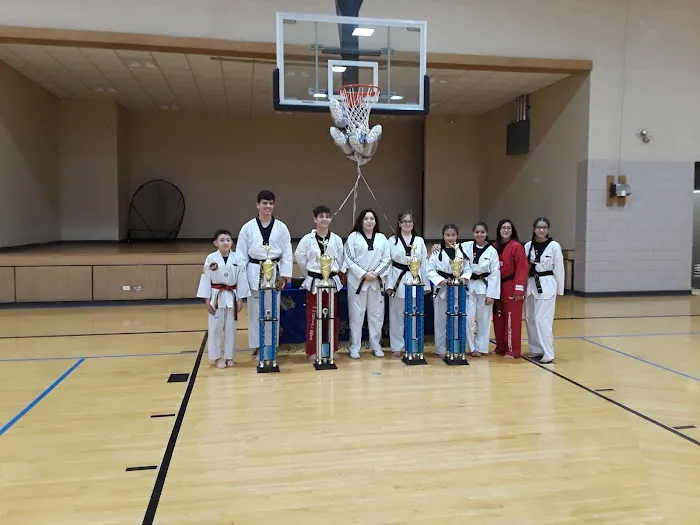 Melrose Park Taekwondo Picture 9