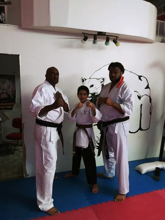 Young's School of Martial Arts Picture 2