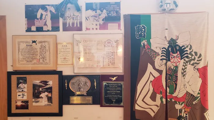 Kyokushin Karate Club “Kanku” Picture 1