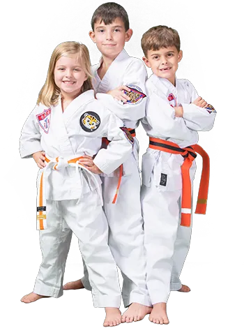 ATA Karate for Kids Picture 3