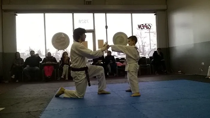 BMA Martial Arts Picture 1
