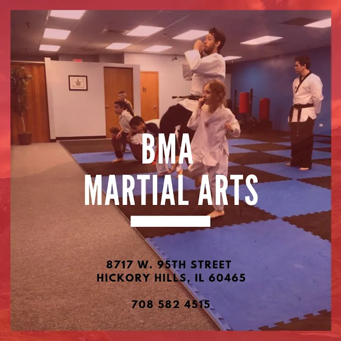BMA Martial Arts Picture 3