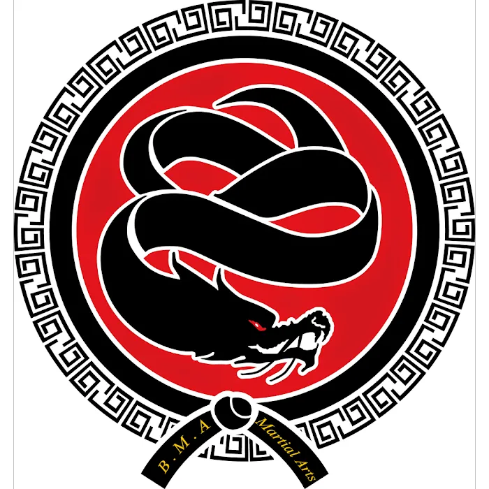 BMA Martial Arts Picture 5