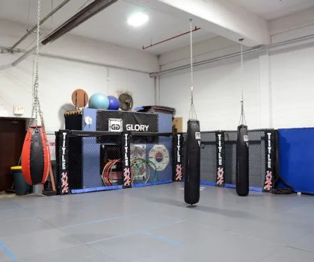 Hybrid Martial Arts and Fitness