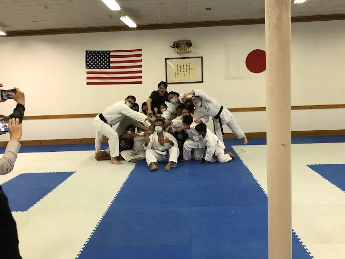 Hu Shin Kai Karate Picture 1