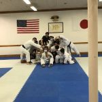 Hu Shin Kai Karate