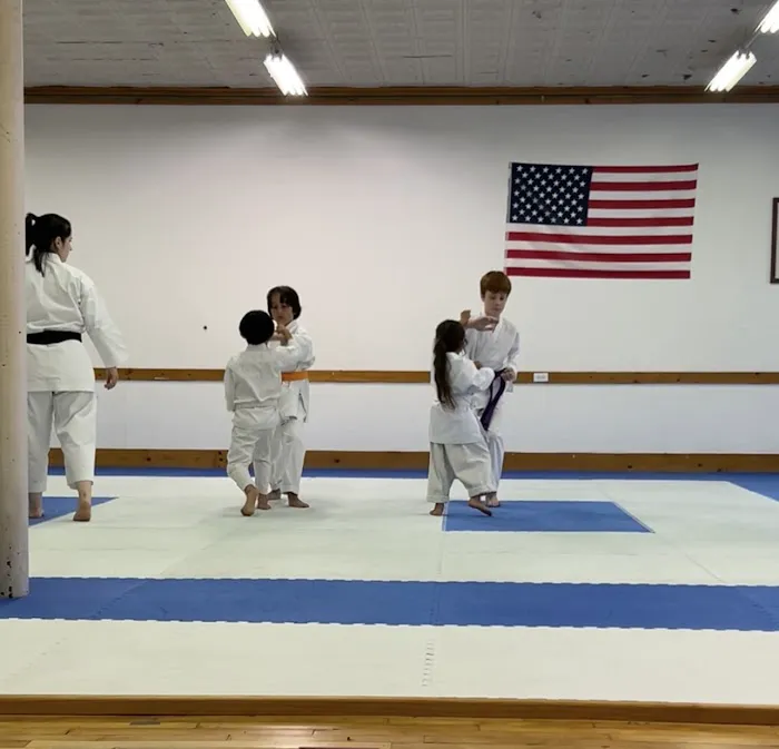 Hu Shin Kai Karate Picture 2
