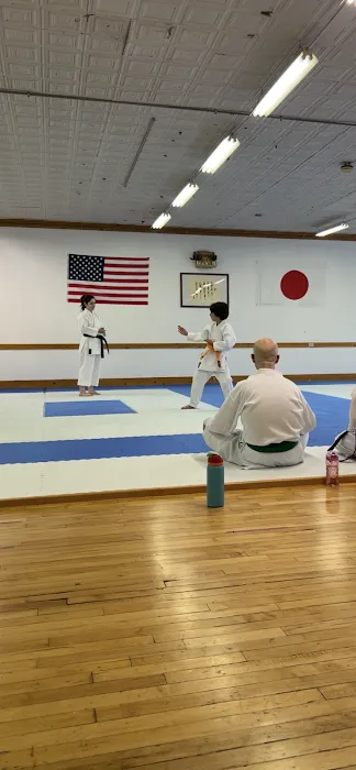 Hu Shin Kai Karate Picture 6