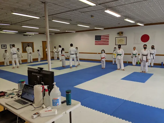 Hu Shin Kai Karate Picture 9