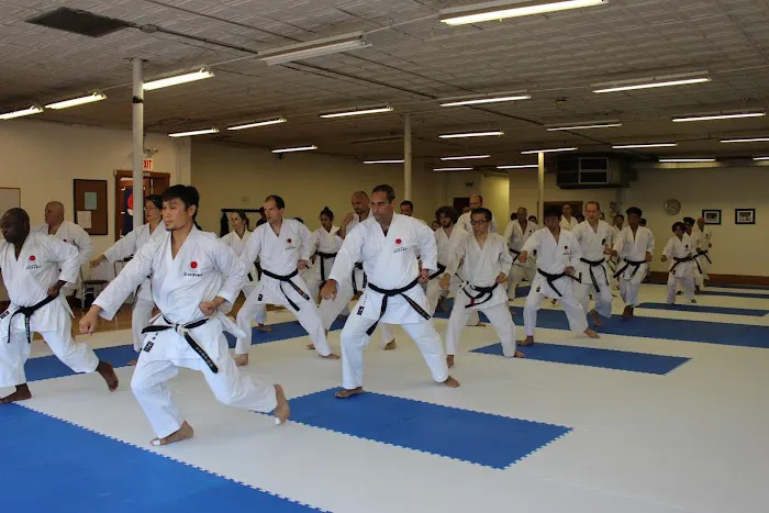 Hu Shin Kai Karate Picture 10