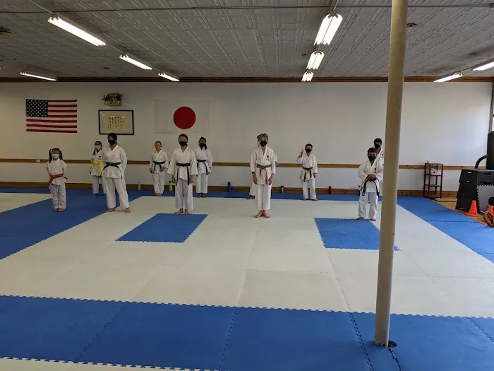 Hu Shin Kai Karate Picture 8